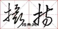 骆恒光摄持草书怎么写