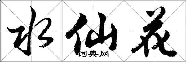 胡问遂水仙花行书怎么写