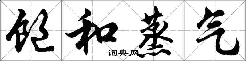 胡问遂饱和蒸气行书怎么写