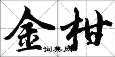胡问遂金柑行书怎么写