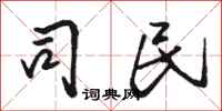 骆恒光司民行书怎么写