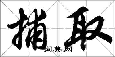 胡问遂捕取行书怎么写