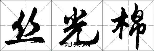 胡问遂丝光棉行书怎么写