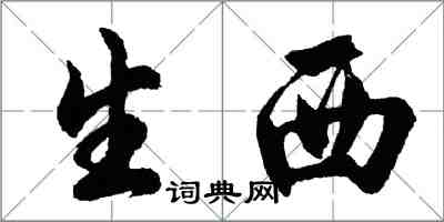 胡问遂生西行书怎么写