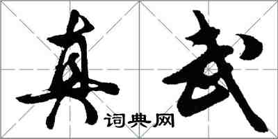 胡问遂真武行书怎么写
