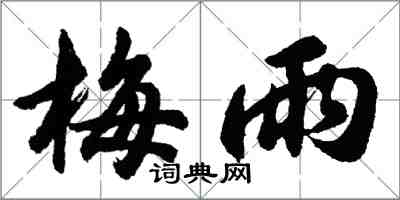 胡问遂梅雨行书怎么写