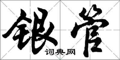 胡问遂银管行书怎么写