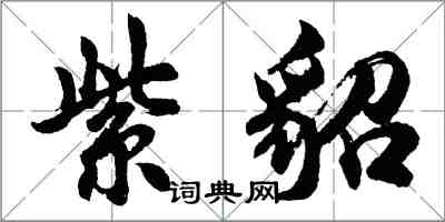 胡问遂紫貂行书怎么写