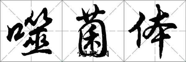 胡问遂噬菌体行书怎么写