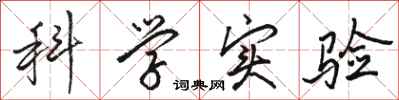 骆恒光科学实验行书怎么写