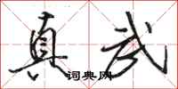 骆恒光真武行书怎么写
