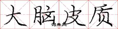 庞中华大脑皮质楷书怎么写