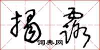 王冬龄揭露草书怎么写