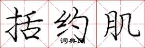 庞中华括约肌楷书怎么写