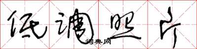 王冬龄低调照片草书怎么写