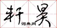 王冬龄轩昊草书怎么写