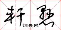 王冬龄轩悬草书怎么写