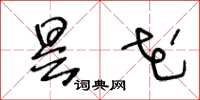 王冬龄昙花草书怎么写