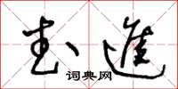 王冬龄武进草书怎么写