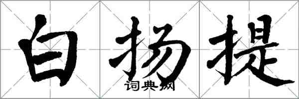 翁闿运白扬提楷书怎么写
