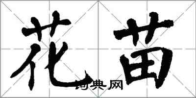 翁闿运花苗楷书怎么写