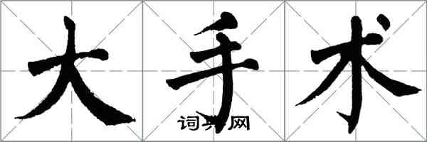 翁闿运大手术楷书怎么写