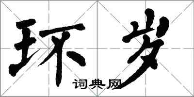翁闿运环岁楷书怎么写