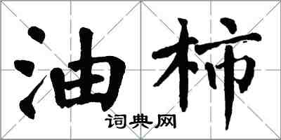 翁闿运油柿楷书怎么写