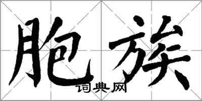 翁闿运胞族楷书怎么写