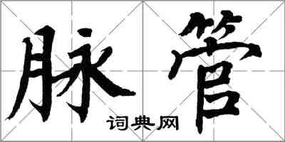 翁闿运脉管楷书怎么写