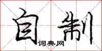 庞中华自制行书怎么写