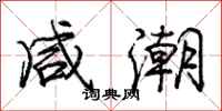 庞中华咸潮行书怎么写
