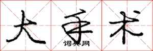 庞中华大手术行书怎么写