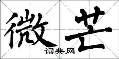 翁闿运微芒楷书怎么写