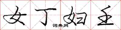 庞中华女丁妇壬行书怎么写