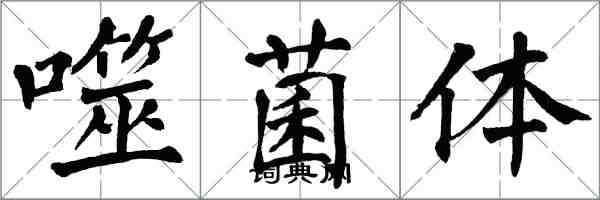 翁闿运噬菌体楷书怎么写