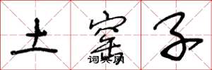 王冬龄土窑子草书怎么写