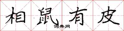 袁强相鼠有皮楷书怎么写