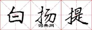 袁强白扬提楷书怎么写