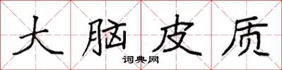 袁强大脑皮质楷书怎么写
