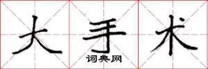 袁强大手术楷书怎么写