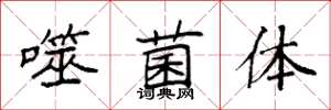 袁强噬菌体楷书怎么写