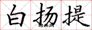 丁谦白扬提楷书怎么写