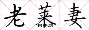 丁谦老莱妻楷书怎么写