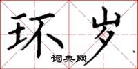 丁谦环岁楷书怎么写