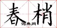丁谦春梢楷书怎么写