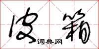 王冬龄皮箱草书怎么写
