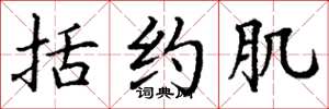 丁谦括约肌楷书怎么写