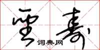 王冬龄圣寿草书怎么写