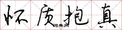 曾庆福怀质抱真行书怎么写